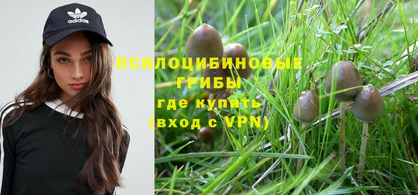 амф Алзамай