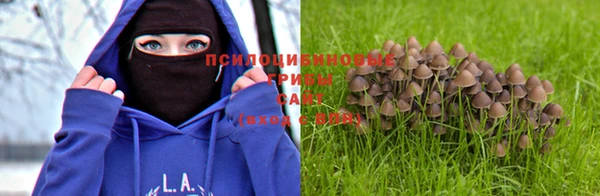 гашиш Алексин