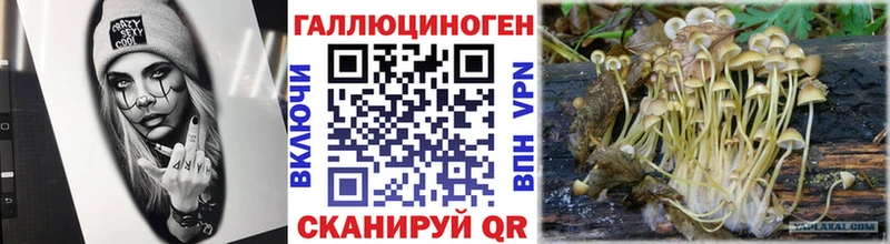 Галлюциногенные грибы Psilocybe мега ONION Лаишево магазин продажи наркотиков